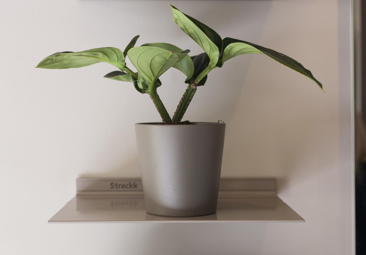 Destinationbcn - Universitat Hotel Barcelona
